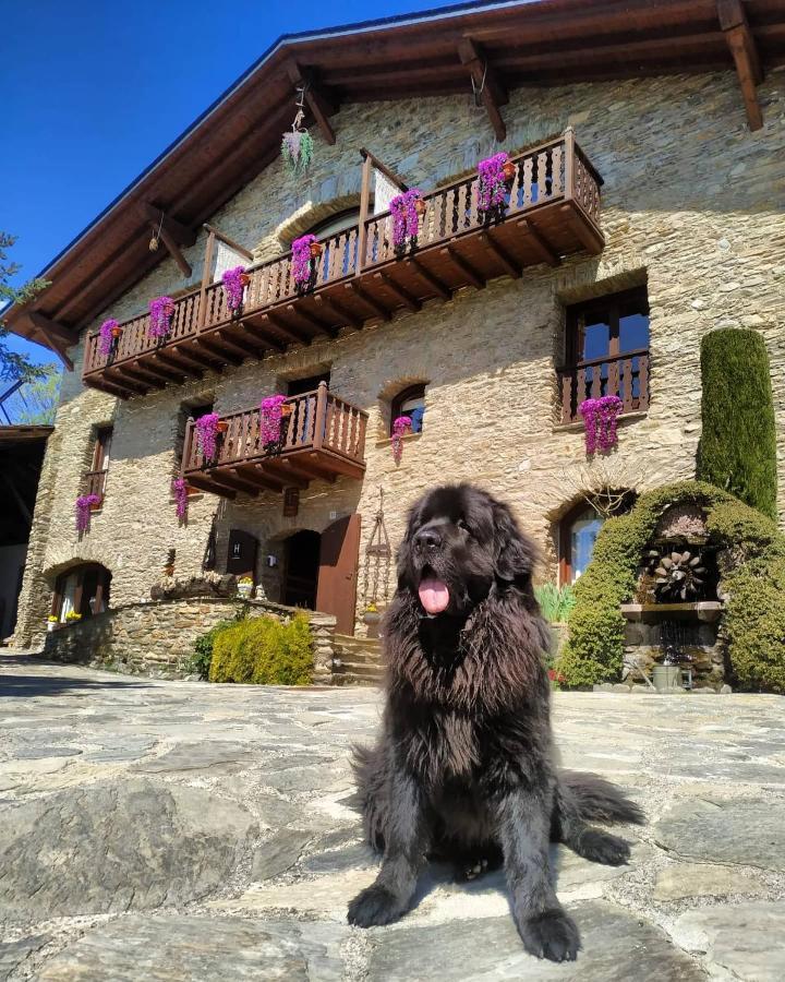 Mas D'En Roqueta Hotel Aravell Exterior photo